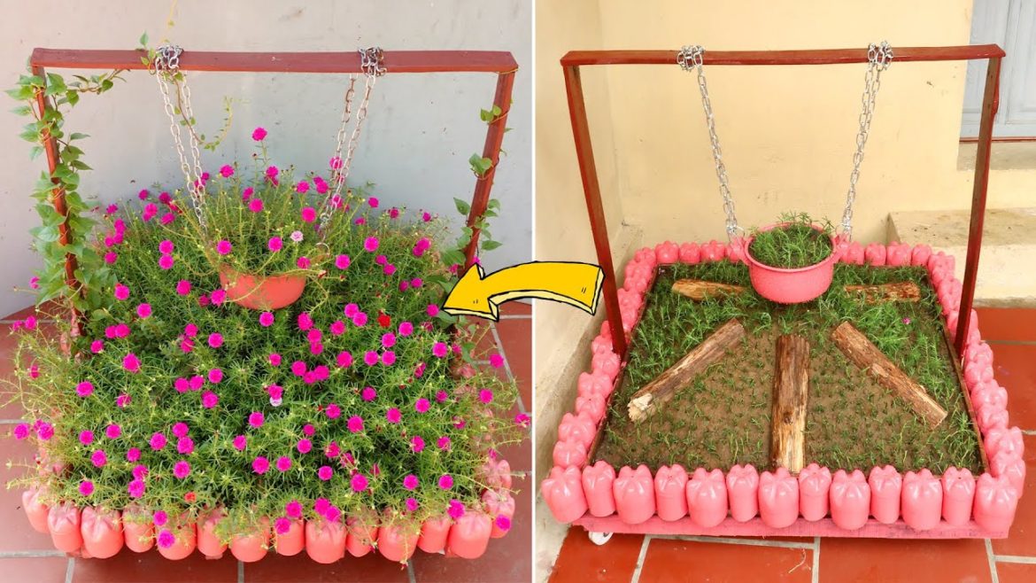 Great Idea to Beautify Front Yard, Colorful Moss Rose Garden for Summer Great Idea to Beautify Front Yard, Colorful Moss Rose Garden for Summer