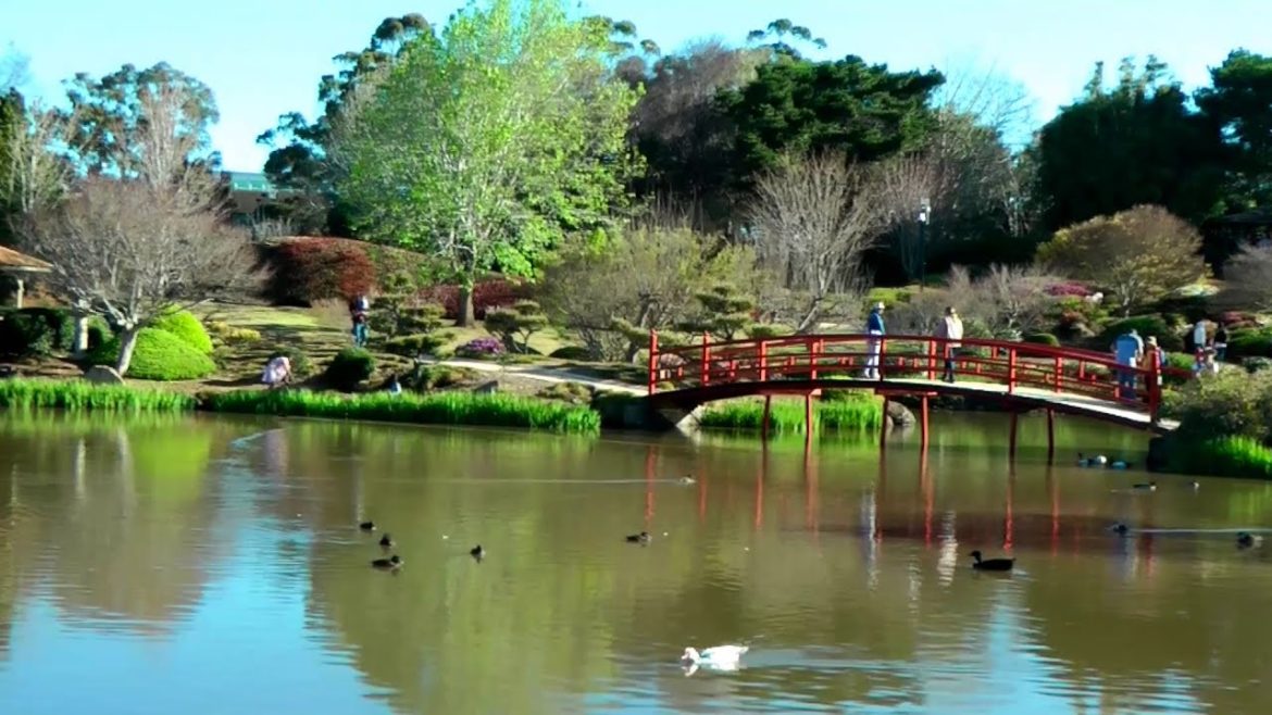 Japanese Garden - Toowoomba