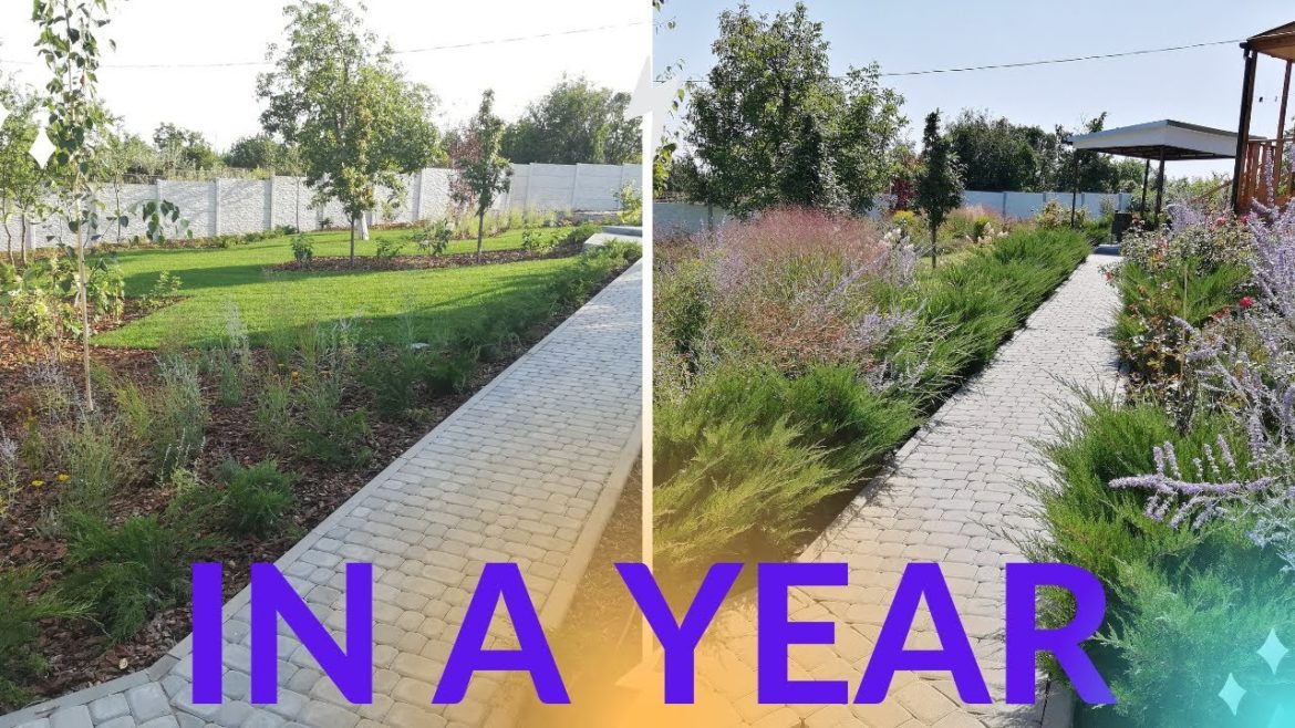Incredible Garden Transformation in a Year! How to transform your Front Yard with garden ideas
