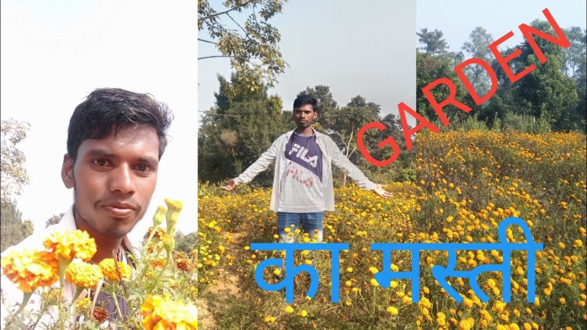 Beautiful Garden/बहुत अच्छा बगीचा/👌💕//vegetable Garden