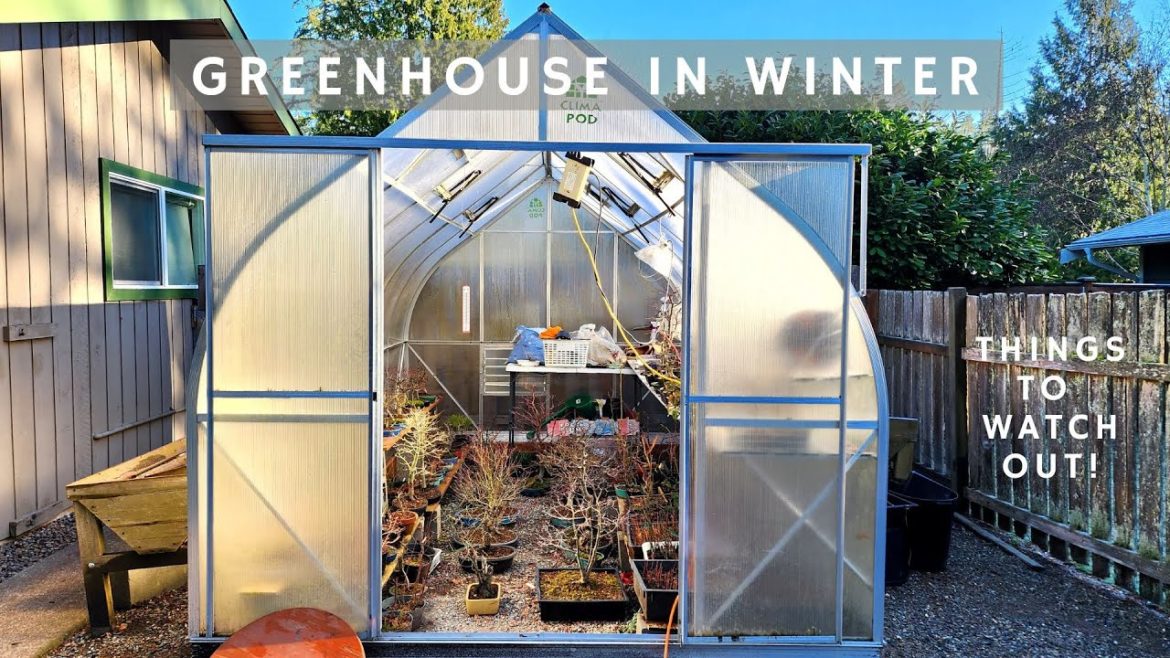 Things to watch out for greenhouse during the winter Things to watch out for greenhouse during the winter