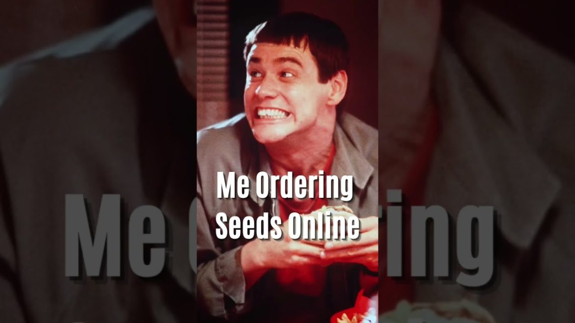 Order Online 🤣 #gardening #shorts #trending #memes