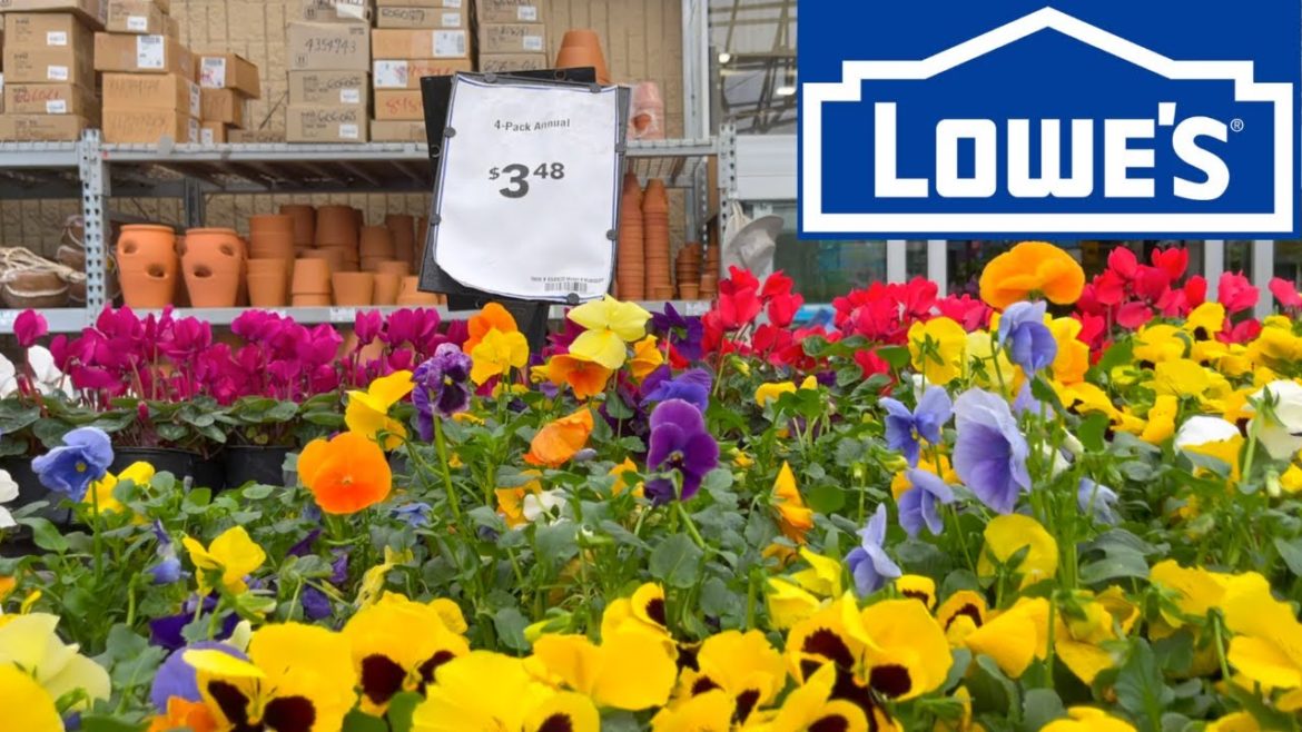 LOWES GARDEN CENTER CLEARANCE! After Christmas Clearance Plants With Me! DEC 26 2022 LOWES GARDEN CENTER CLEARANCE! After Christmas Clearance Plants With Me! DEC 26 2022