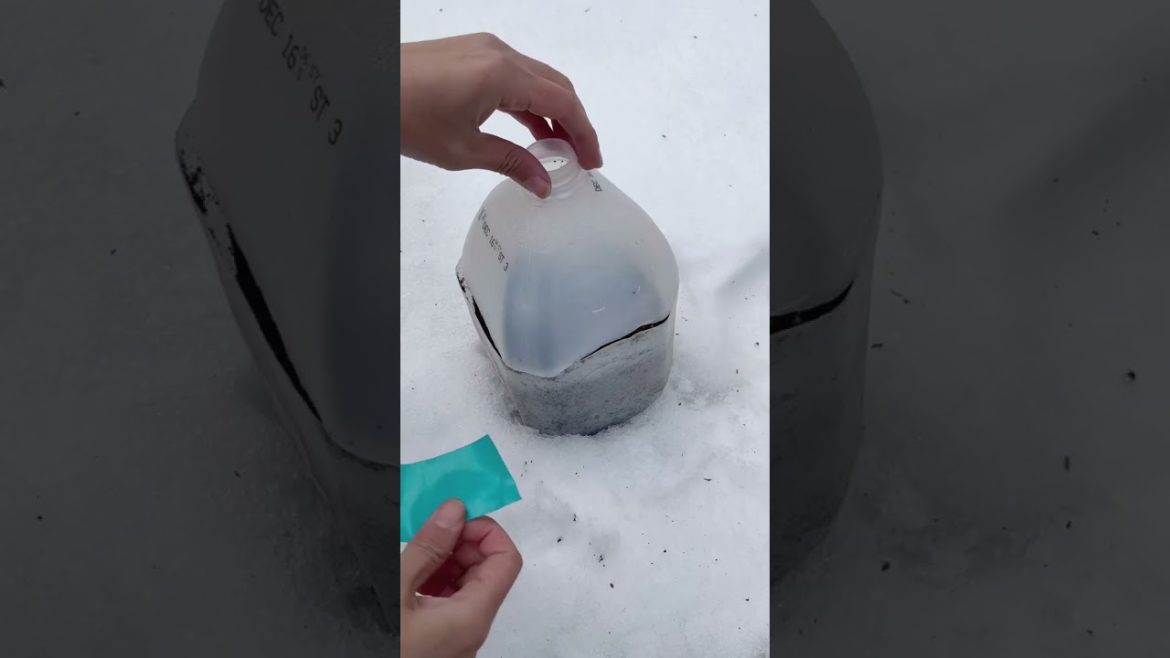 Winter Sowing #shorts Winter Sowing #shorts