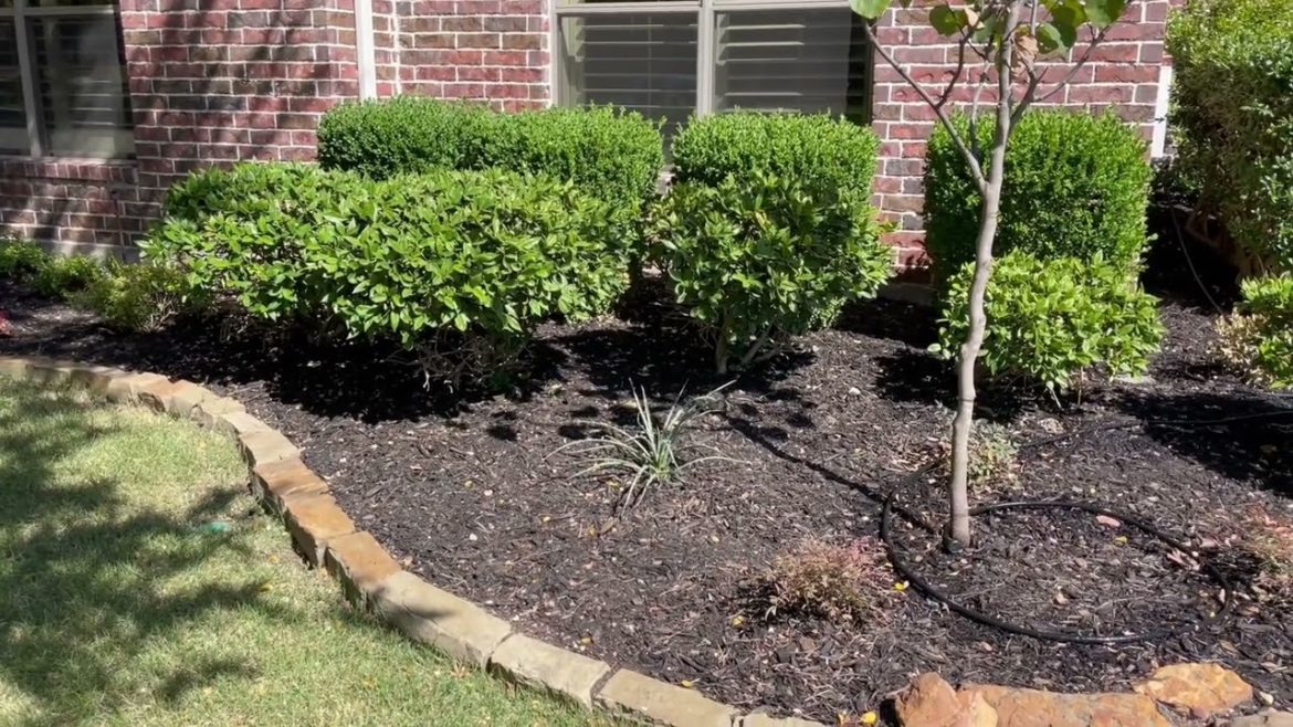 Steve and Madelyne Allen Landscape Project Steve and Madelyne Allen Landscape Project