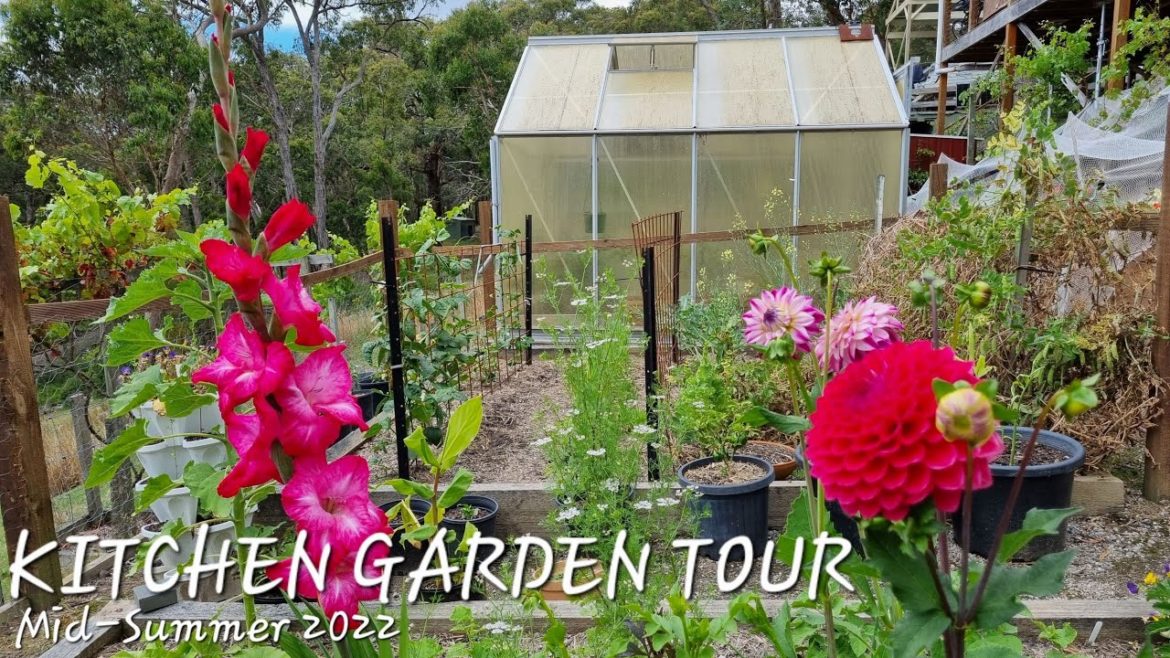 Kitchen Garden 2022 Mid-Summer Virtual Garden Tour | Aussie Dandenong Ranges Vegetable Patch Update