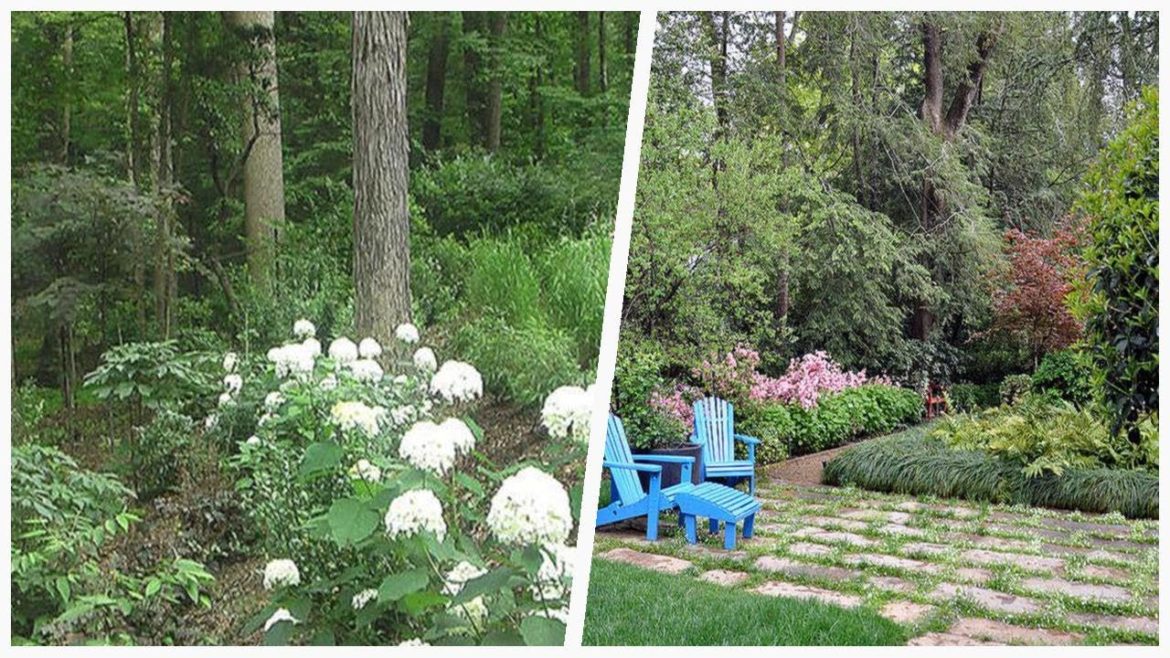 75 Huge Shade Landscaping Design Ideas You'll Love ☆