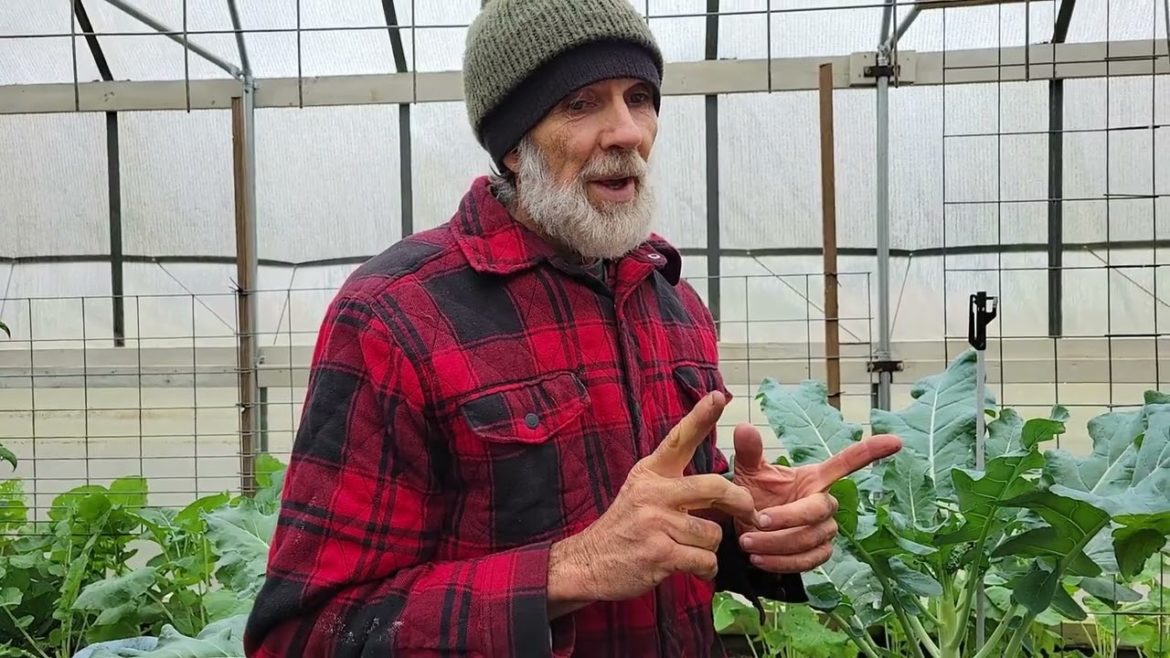 What Plants SURVIVED the ARTIC BLAST 2022? What Plants SURVIVED the ARTIC BLAST 2022?