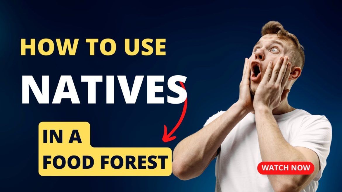 How to Use Natives in a Food Forest -  12 min Overview