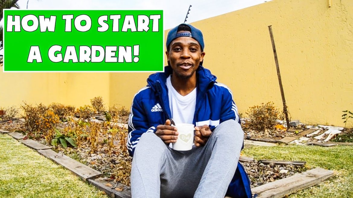 HOW TO START A VEGETABLE GARDEN | STARTING A GARDEN: FOR BEGINNERS | GARDENING SOUTH AFRICA