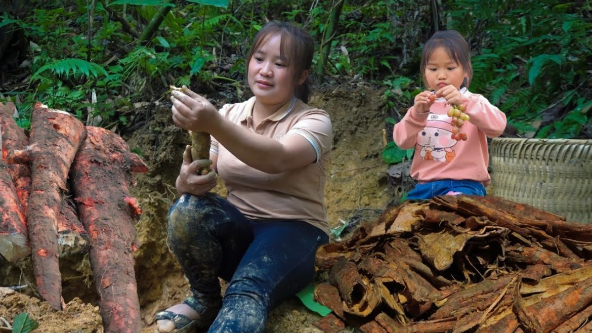 Process of Harvesting garden vegetables,Grinding tubers,potato skins,With daughter,Bringing to sell