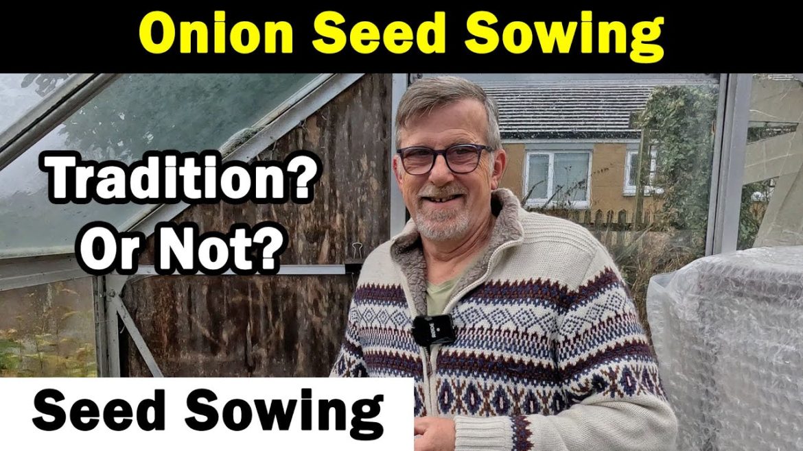 Traditional Onion Sowing | Tradition or not? | Best way to sow onions | Green Side Up Traditional Onion Sowing | Tradition or not? | Best way to sow onions | Green Side Up