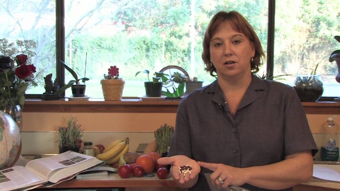 Gardening: Edible Plants : How to Grow Beans