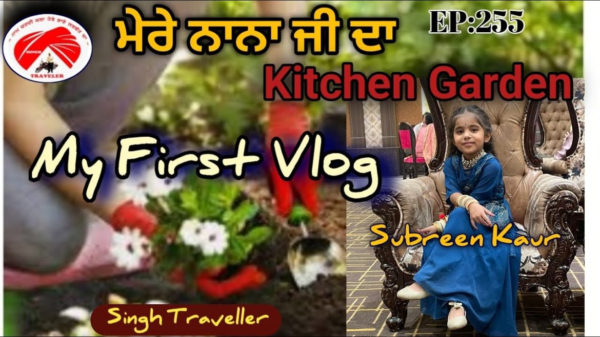 MY First Vlog \ My Grandfather's Kitchen Garden \ Subreen Kaur \ By Singh Traveller MY First Vlog \ My Grandfather's Kitchen Garden \ Subreen Kaur \ By Singh Traveller