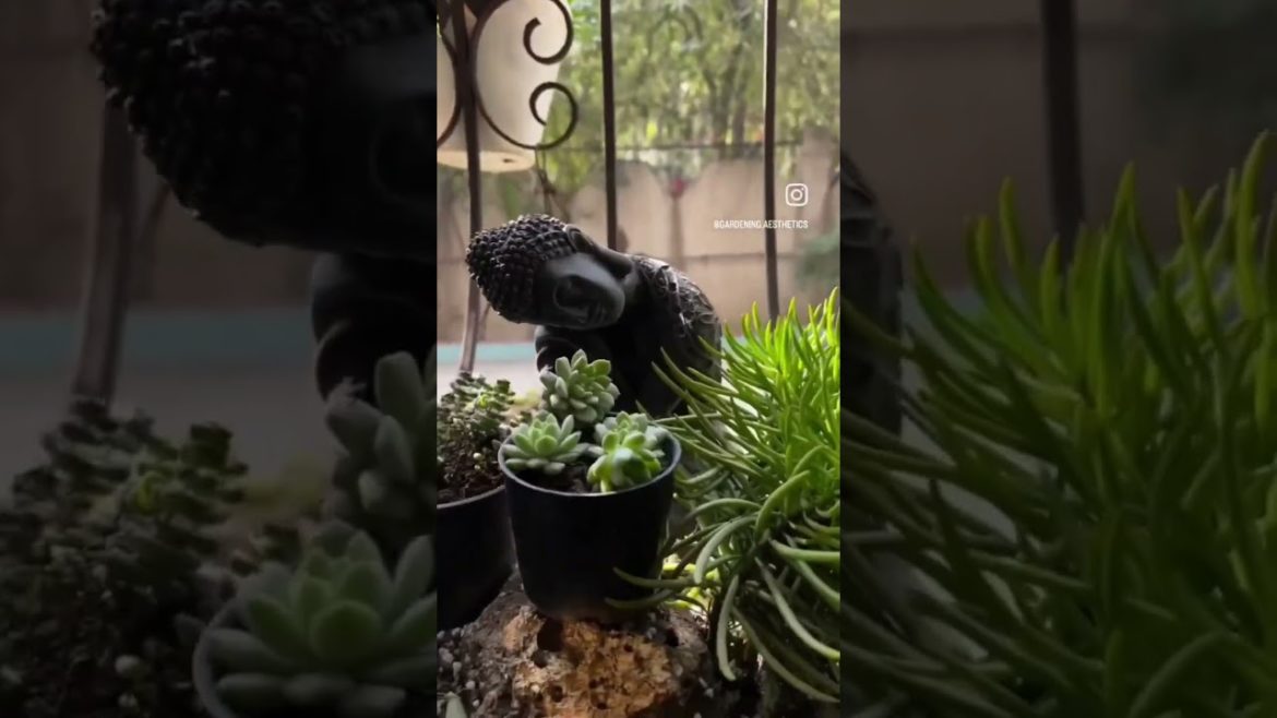 Zen garden ideas, link in description