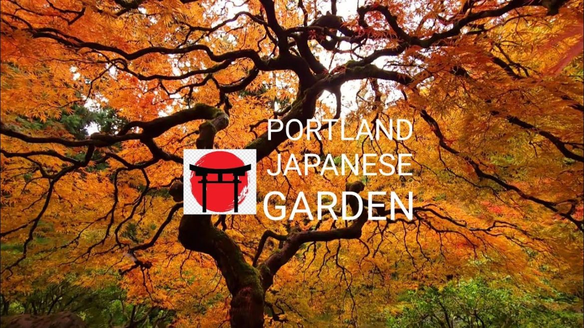#9 Portland Japanese garden – a piece of Japan in US || Vườn Nhật ở Portland, Mỹ #9 Portland Japanese garden - a piece of Japan in US || Vườn Nhật ở Portland, Mỹ