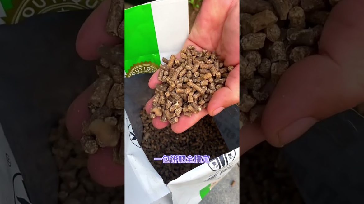 how to growth vegetable #natural how to growth vegetable #natural