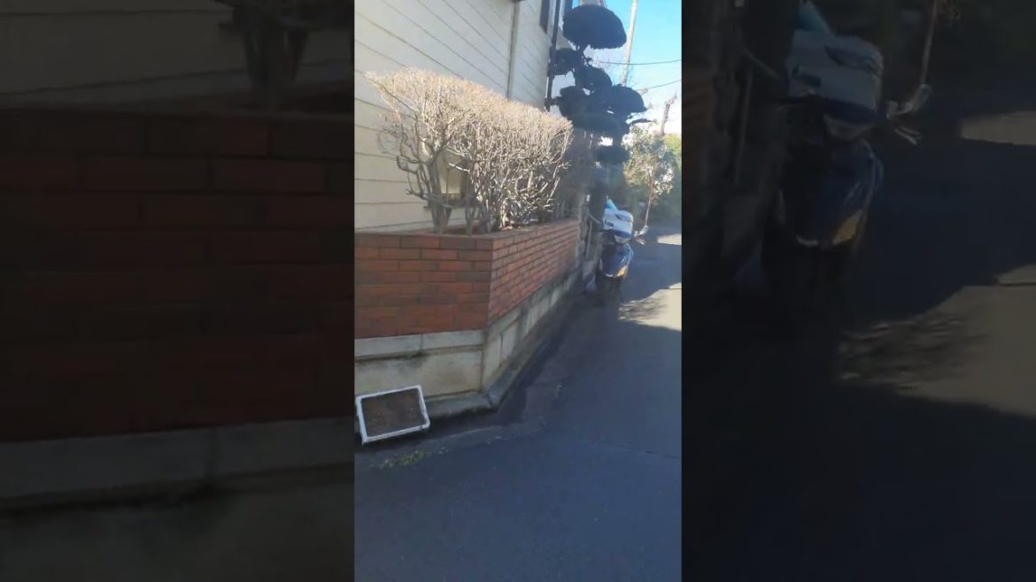 Beautifully landscaped Japanese gardens just waiting to be explored!