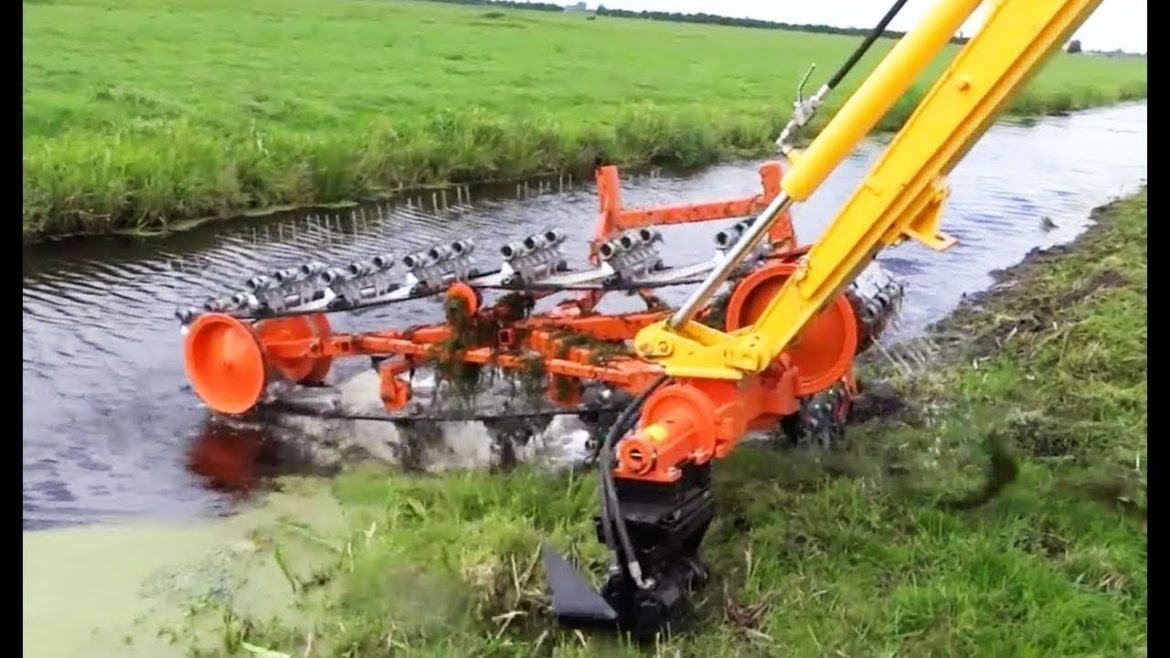 This is how this agricultural machine makes its owner rich. Unbelievable.