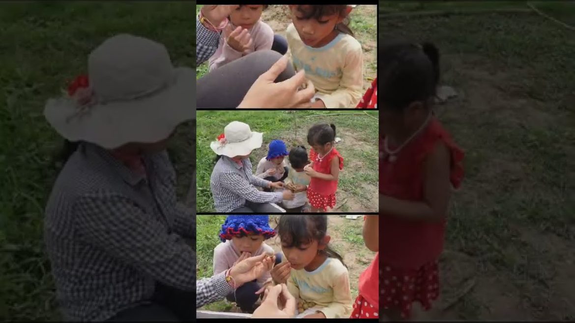 Pick and eat longan at my backyard garden #Shorts