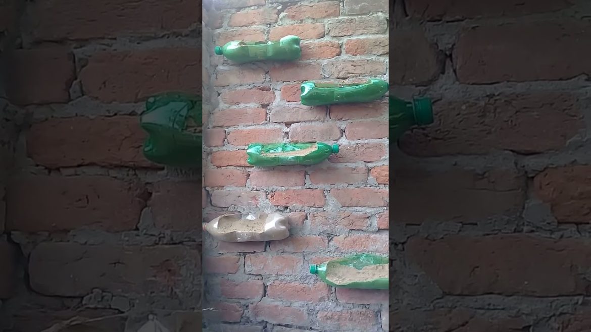 How to design a garden |Garden design ideas | Garden design #shorts