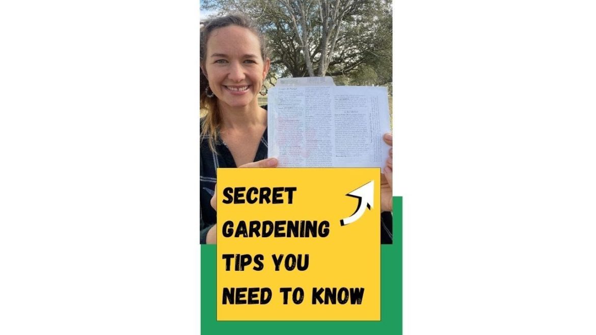 Check out these Secret Gardening Tips 👀🌱🍅