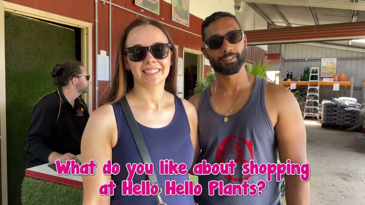 Why choose Hello Hello Plants? Why choose Hello Hello Plants?
