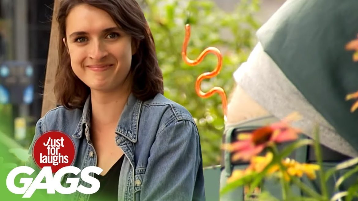 Straws Stuck in Gardener's Butt Straws Stuck in Gardener's Butt