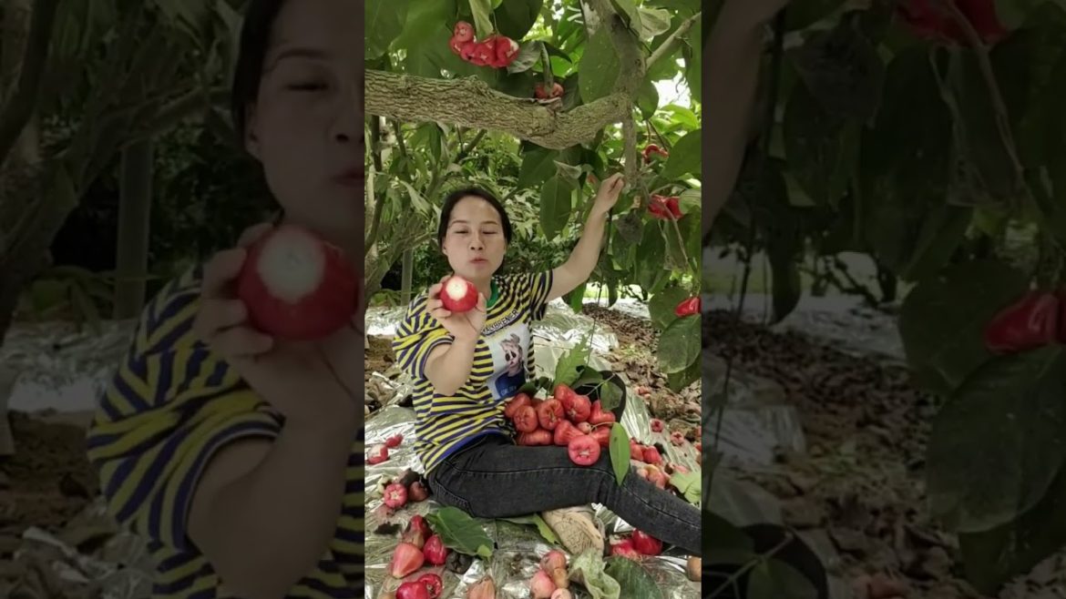 fresh fruit in green farm #shorts fresh fruit in green farm #shorts