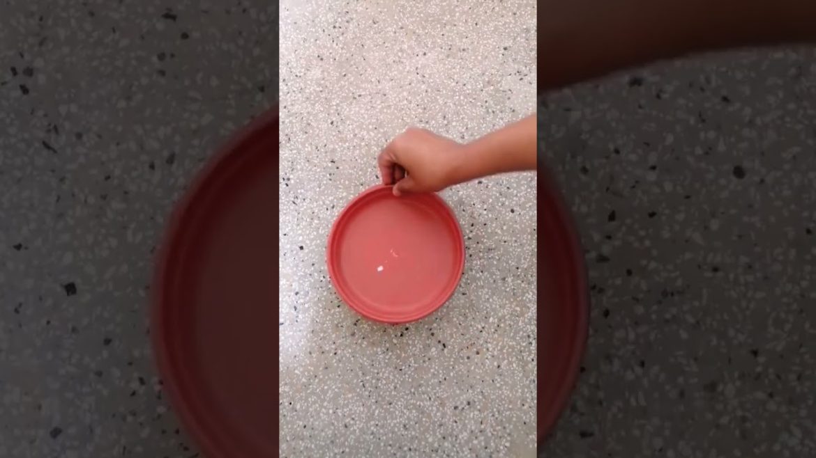 Garden Shopping! Pot trays. #shorts #viral #pots #trending #nishthamahant