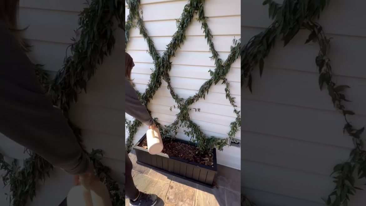 Gardening Chores ✅ AFTER The Winter Storm :: Moving Plants Back Outside & Hydrating My Planters