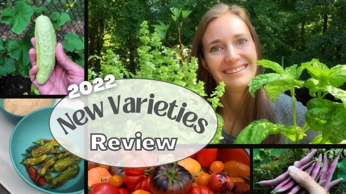 2022 Vegetable Review - BEST & WORST New Varieties I Tried this Year