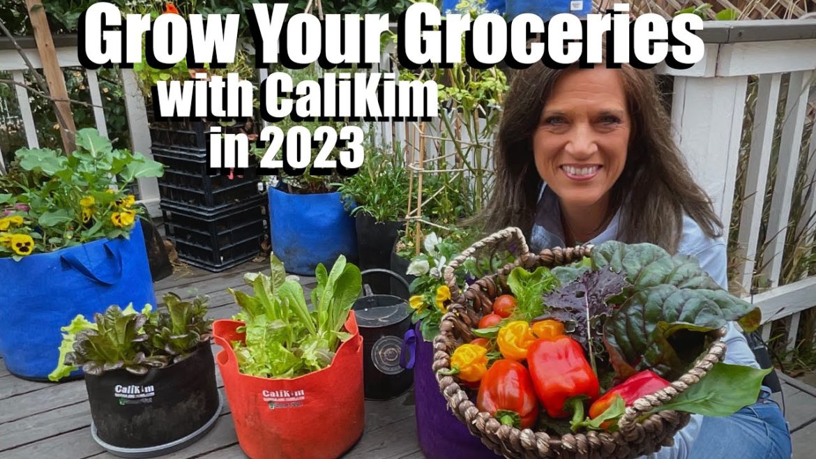 Grow Your Groceries with CaliKim in 2023 🍅🥬🥕🥗🍓