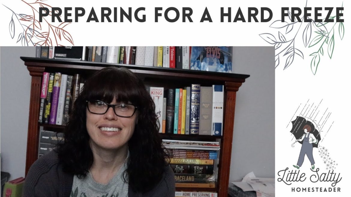 Garden Planning for 2023!