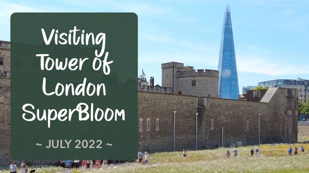 Visiting Tower of London SuperBloom