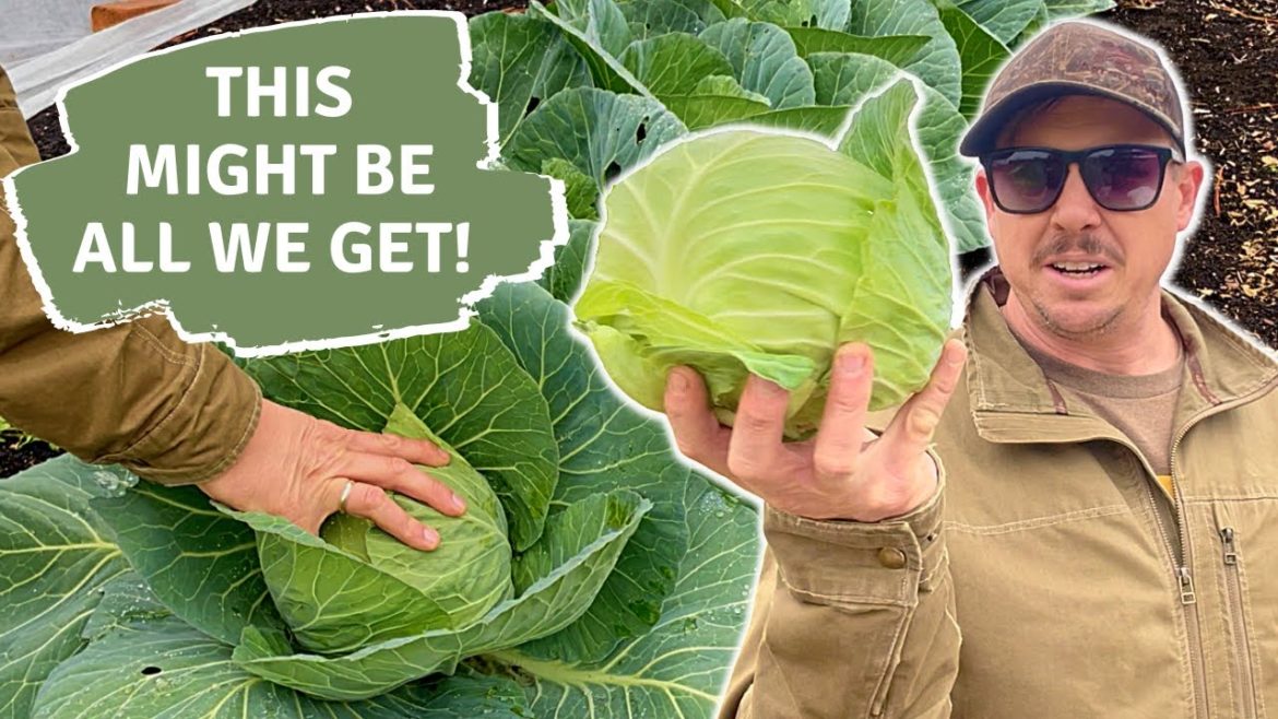 This Isn't Going to Go Well!