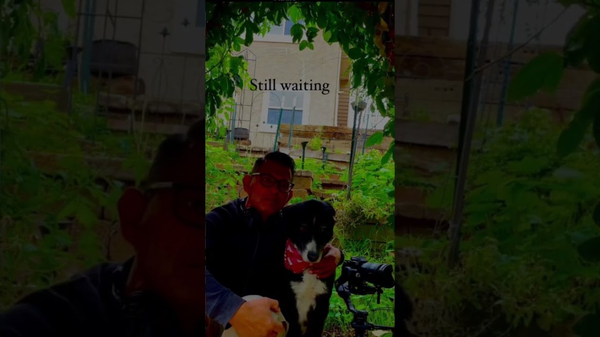 Influencers be waiting for the talent like….