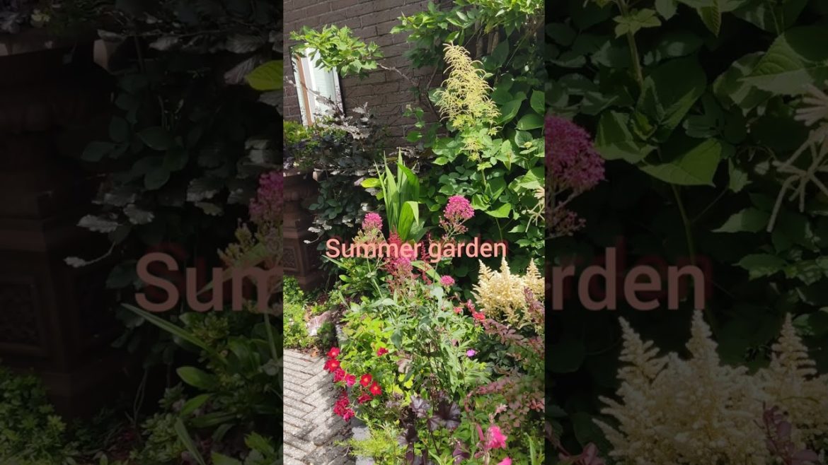 Summer garden @Orientalbackyardgarden,#garden#shorts#summergarden #englishgarden#gardening