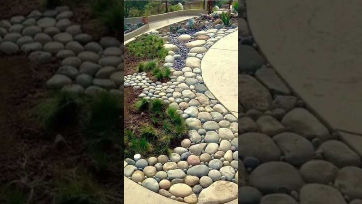 Garden Decore #shorts #viral #garden