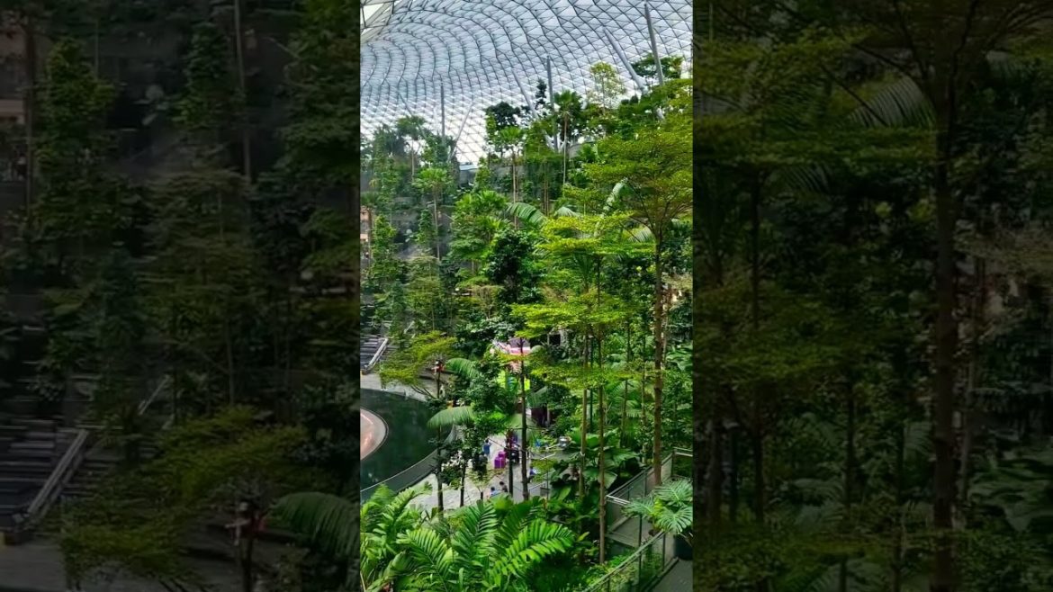 Jewel @ Changi Airport, Singapore #singapore #tourist #placestovisit #shorts #waterfall