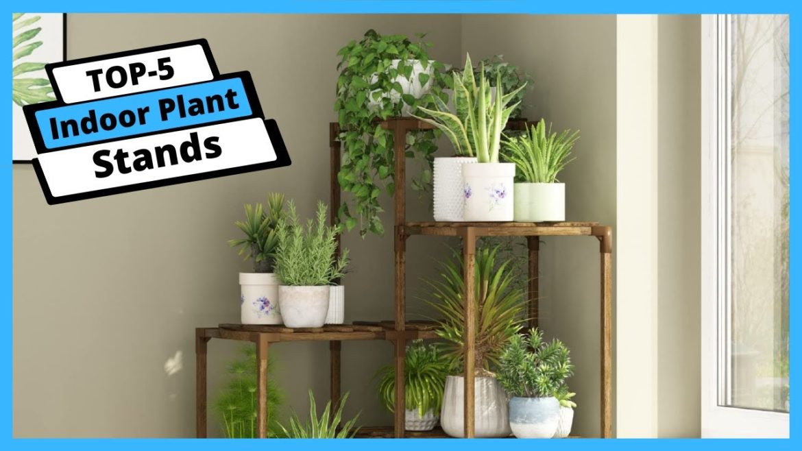 ✅ Best Indoor Plant Stands: Indoor Plant Stands (Buying Guide)