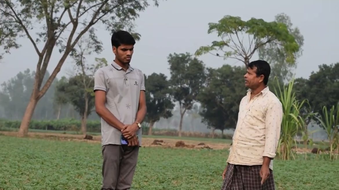 Current market for winter vegetable cauliflower.SOHAN VS Current market for winter vegetable cauliflower.SOHAN VS