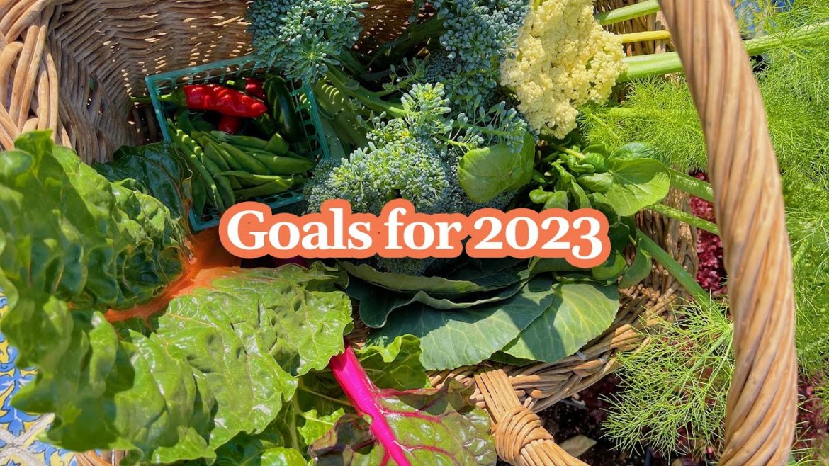My Top 5 Goals for the New Year 2023 🎉 Lynette Zang's Urban Farm
