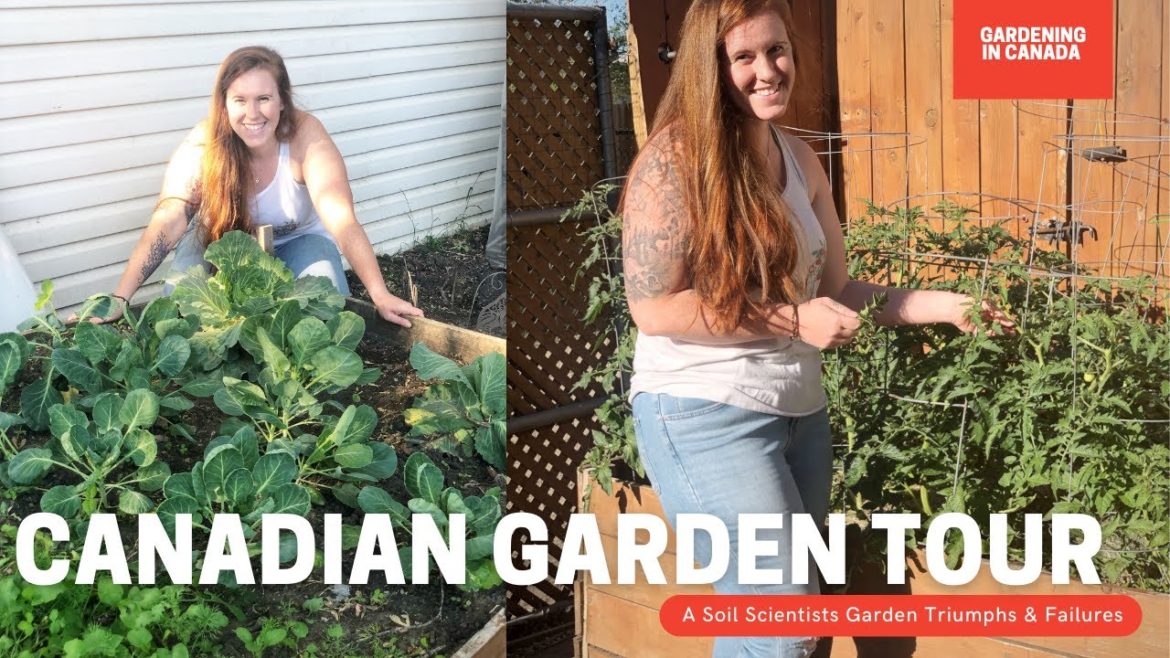 Gardening In Canada Garden Tour. Mid Summer Canada Zone 3 Backyard Garden Tour.  USDA Zone 4