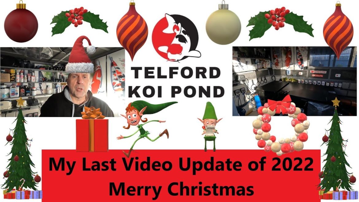 T.K.P. Telford Koi Pond - Video 91 – My Last Video Update of 2022 - Merry Christmas.