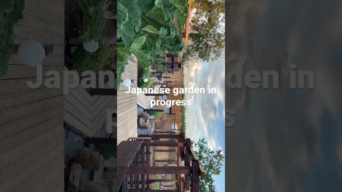 Japanese garden more work done🏯 Japanese garden more work done🏯