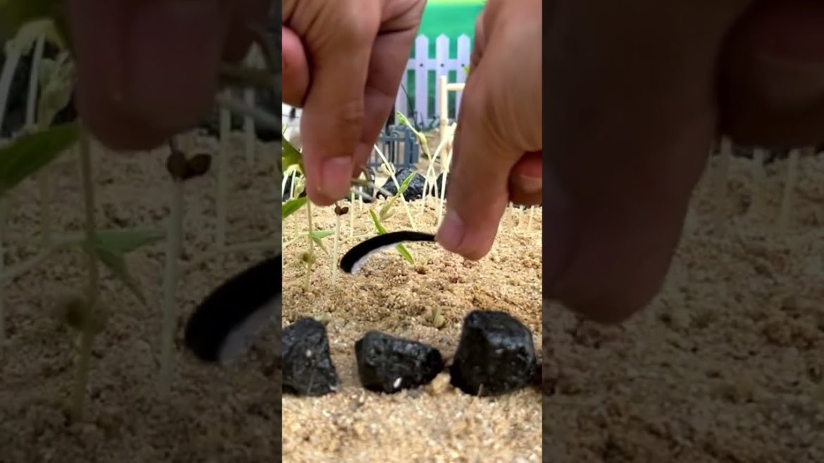 How to Feed Your Cows with Vegetables - effortlessly!