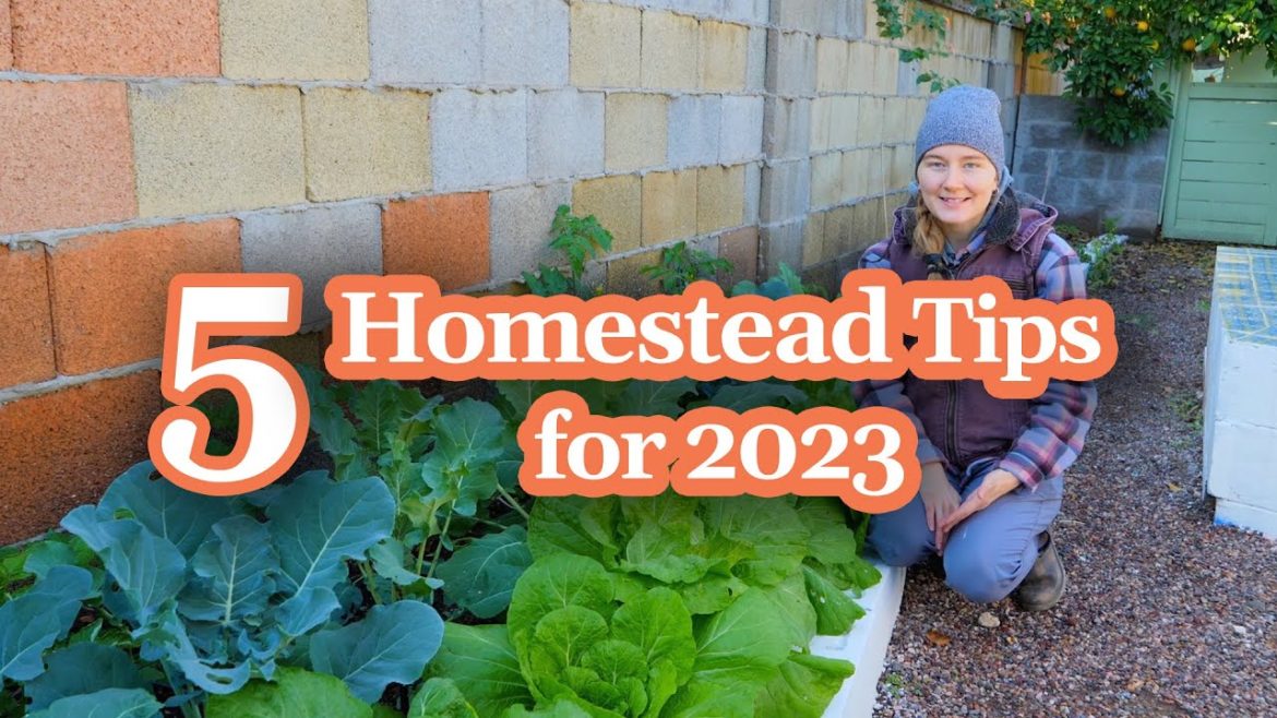 5 Homesteading Habits for a Productive and Successful 2023
