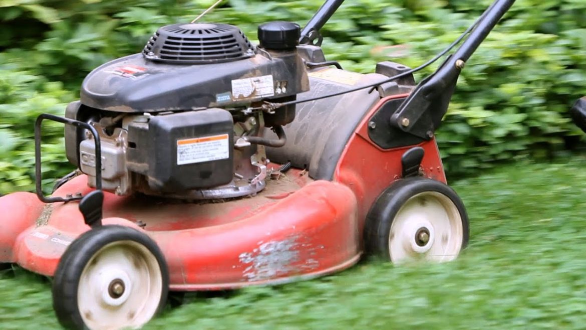 5 Grass Cutting Tips | Lawn & Garden Care 5 Grass Cutting Tips | Lawn & Garden Care