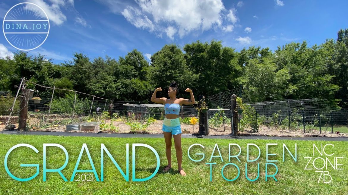 GARDEN TOUR!  NC Zone 7b Organic Backyard Garden